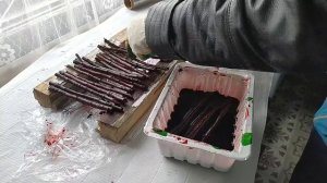 Как подготовить ветки для декора и поделок . И полезная  ИДЕЯ из веток