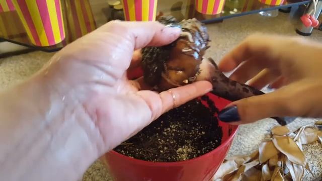 Выкапываем аморфофаллус готовимся к зиме смотреть онлайн