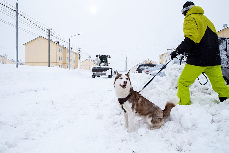 Сахалин переживает "снежный апокалипсис" / События на ТВЦ
