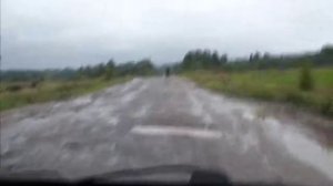 Дорога возле села Верхнеспасское. Костромская область