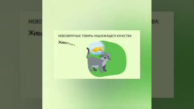 Видеоролик на тему 