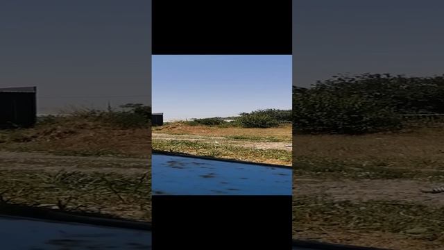 Пинопластовое облако