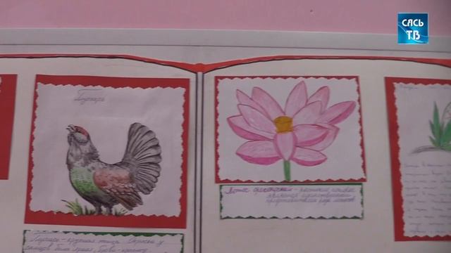 Наш общий дом - Земля смотреть онлайн