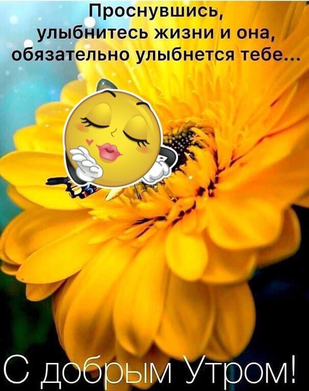 Утро уже просыпайся и новому дню улыбайся