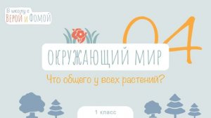 Что общего у всех растений? Окружающий мир, урок 4. 1 класс (аудио). В школу с Верой и Фомой (6+)