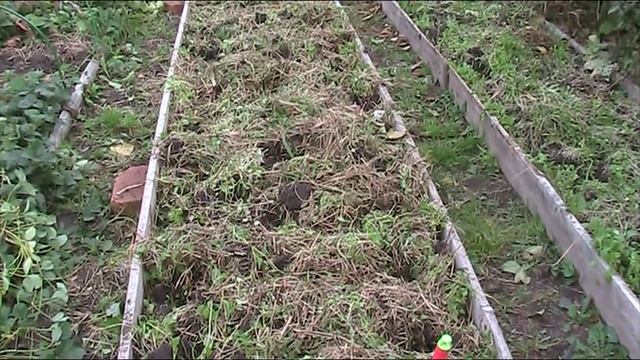 Супер простой способ посадки озимого чеснока!// Секреты хороших урожаев. смотреть онлайн