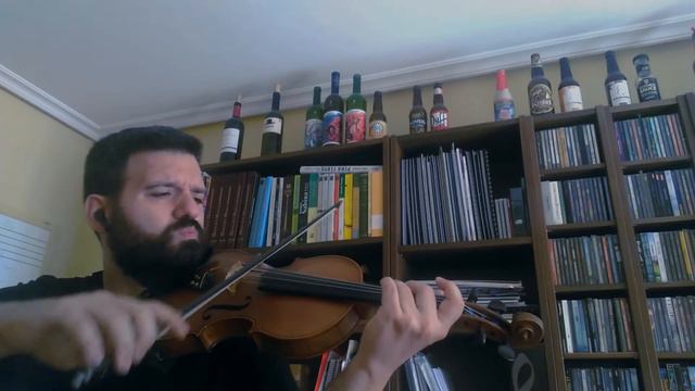 Mein Herz Brennt (Rammstein String Quartet Cover) смотреть онлайн