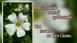 Гимны надежды 117 Аллилуйя, день субботний 1 (-)
