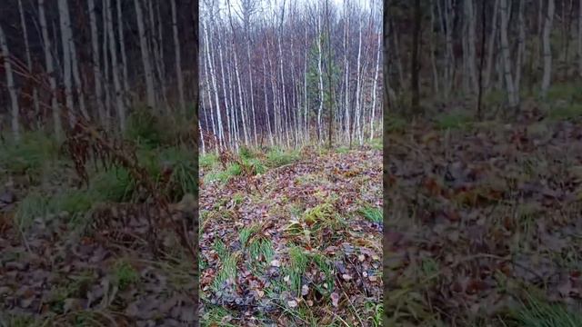 какие они разные смотреть онлайн