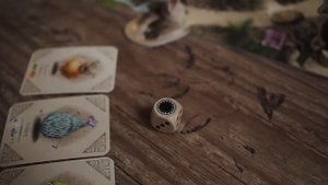 Настольная игра Гю – Лесные Целители (Gus) Marbushka