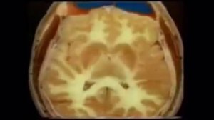 Реальность как проекция ума.Буддизм и квантовая физика