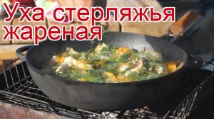 Рецепты из стерляди - как приготовить стерлядь пошаговый рецепт - Уха стерляжья жареная за 50 минут