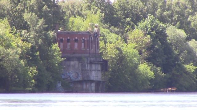 Водоплавающие птицы.