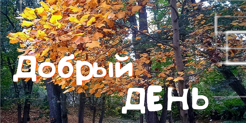 Музыкальная Открытка! Добрый День! Самый Лучший День!