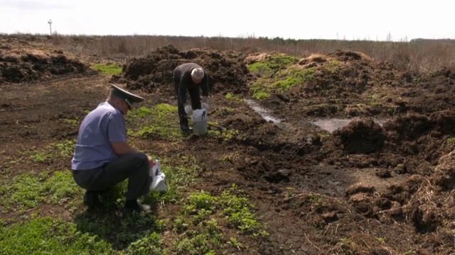 На землях агрокомплекса выявлено загрязнение земель навозом и ТБО