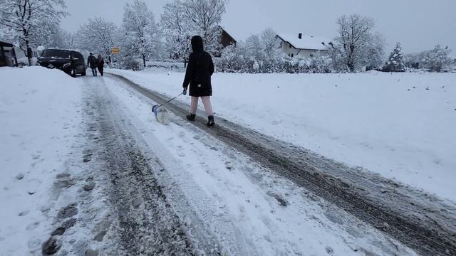 ГЕРМАНИЮ ЗАВАЛИЛО/ за сутки выпал метр снега, #МЮНХЕН #германия #бавария #жизньвгермании #иммигрант