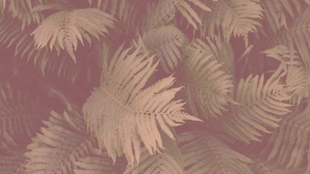 ESTHETIC HOUSE смотреть онлайн