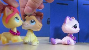 LPS Popular (INTERACTIVE GAME) | Choose Your Own Story