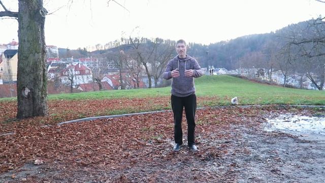 Тайцзицюань, КАК ТРЕНИРОВАЛСЯ Я, тайцзи смотреть онлайн