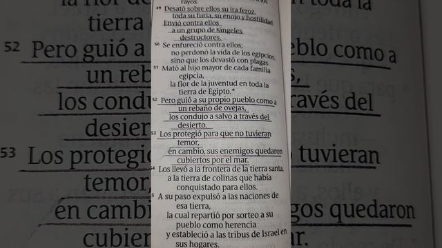 Salmo 78: 49 - 53. NTV 🙏 🔥 🕊