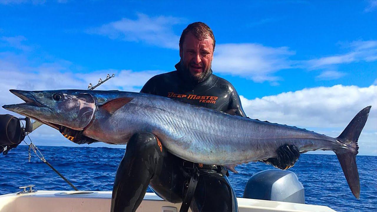 Подводная Охота. Азорские Острова. Spearfishing in the Azores Pico Islands 2015