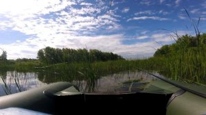 Рыбалка на озере/ Крупные караси