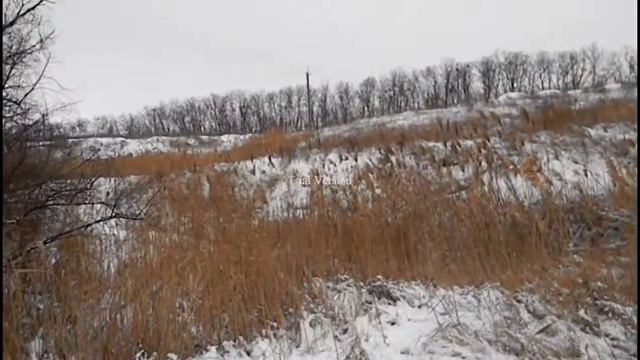 Охота с ягдом на фазана (Кадобкин А.С.) смотреть онлайн