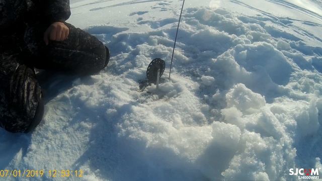 Поймали неплохую щуку на Бурейском водохранилище.Талакан. смотреть онлайн