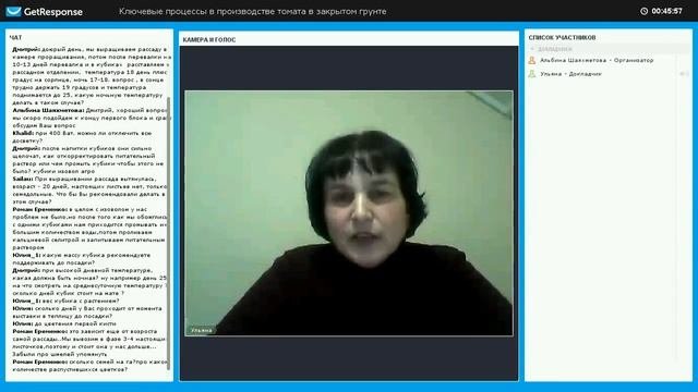 Температура выращивания томатов в теплице
