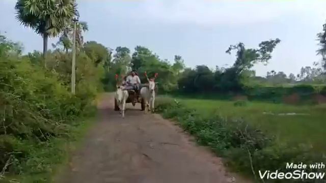 24 January 2021 смотреть онлайн