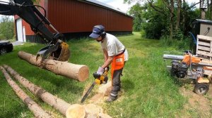 Dewalt DCCS677B 60V VS A 10 Year Old Stihl MS 250,  Is Battery Now Better Than Gas?