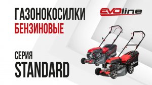 Бензиновые газонокосилки EVOline серия STANDARD