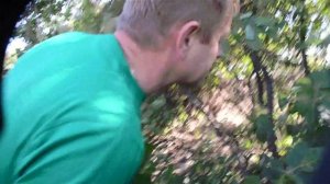 НОВОСТИ  о львице  родившей в Саванне !Тайган .Крым