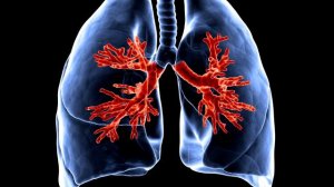 Бросающему курить Quit Smoking что происходит в организме после отказа от куре