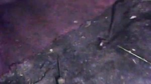 замена подшипников задней балки саманд часть 2