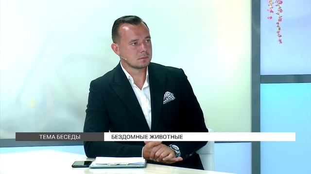 Кормить бездомных животных или нет? смотреть онлайн