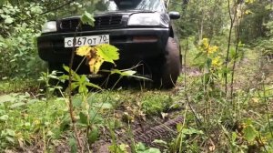 Rav4 первого поколения едет по лесу под классический рок