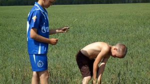 Песня о деревне