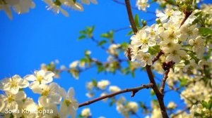 Очень Красивая Мощная Музыка для души! Это невероятно Потрясающие треки! Музыка Для Души #музыка