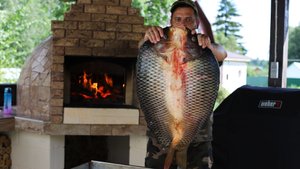 Рыба пицца по-казахски или как вкусно приготовить крупного карпа.