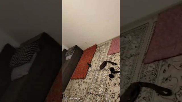 ужасный отпариватель для одежды GS66-H2DV смотреть онлайн