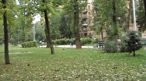 Мытищи. Военка. 16 сентября 2007 года