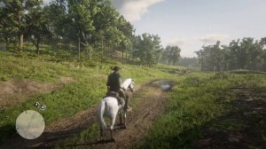 RDR 2 - Ограбление дилижансов (Олден Керрутерс)