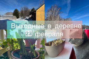 Выходные в деревне. 23 февраля