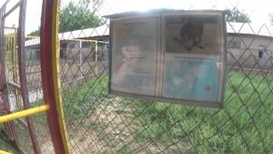 Шымкентский Зоопарк #3 ZOO Shymkent