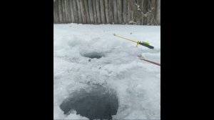 Зимняя Рыбалка На Карася. Ловля Карася Зимой