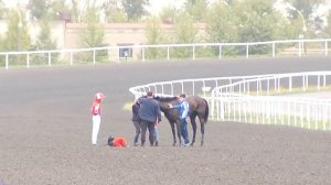 Лошадь ломает ноги на скачках 2