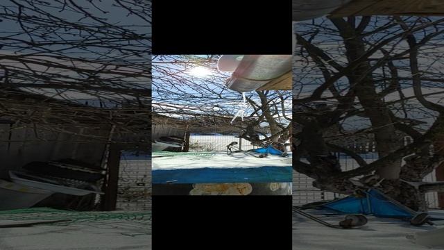 Доброе утро страна моя любимая