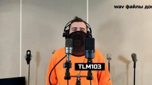 Микрофон Gefell M930: Тест Сравнение с Neumann TLM103