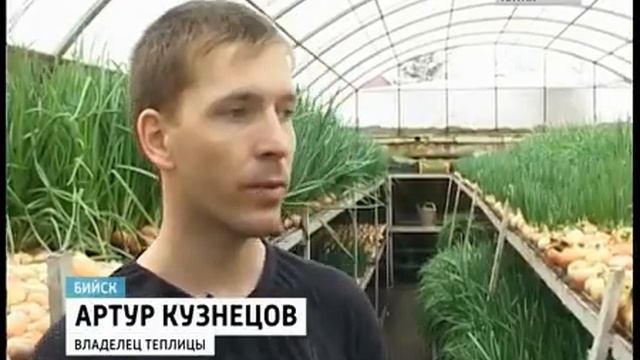 Теплица под землёй для выращивания овощей. смотреть онлайн